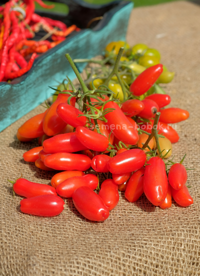 Томат Flaschentomaten (Фляшентомат), 10 шт