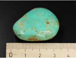 Хризопраз, полировка плоская, Австралия (33*28*11 мм, 15 г) №35684