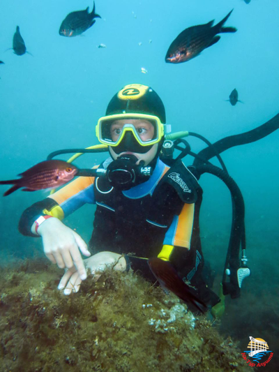 Дайвинг в Алуште