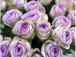 Лулаби (&quot;Lullaby),David Kenny.