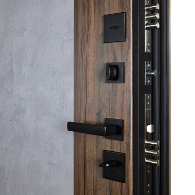 Стальная дверь   Avant. Заказная модель.