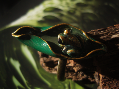 "После дождя", необычное кольцо с тропической лягушкой