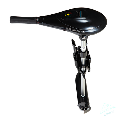 Подвесной электромотор WaterSnake Advance FWAD34/30 12V