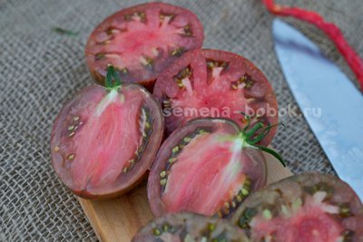 Томат Rebel Starfighter Blaine's Moonlight (Восставший Звездный Истребитель Лунный Свет Блэйна) , 10 шт