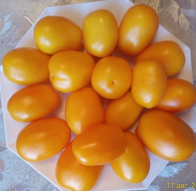 Томат Сливка Бендрика желтая