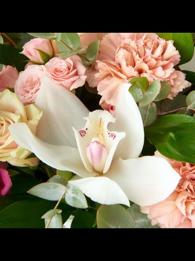 Корзина с орхидеями