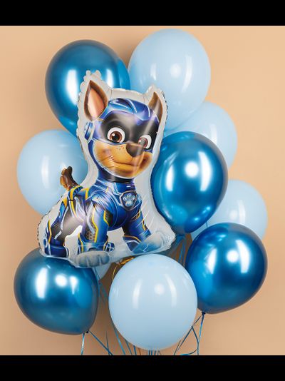 Шар 24"/61 см "Щенячий патруль" Чейз, Италия