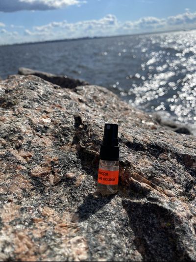 Духи АККОРД: ЧЁРНЫЕ КОШКИ 2,5 мл