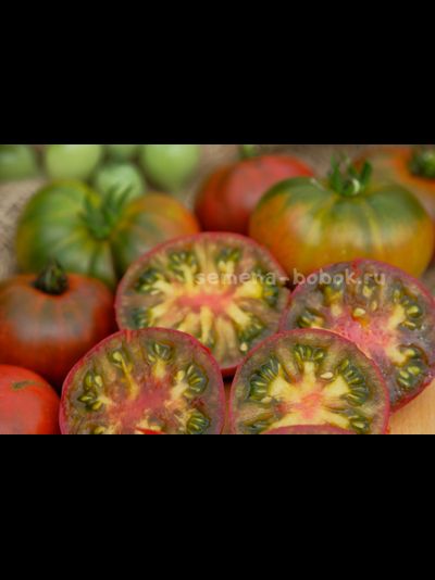 Томат Dwarf Red Viper (Гном красная Гадюка), 10 шт