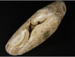 Арагонит, почковидные агрегаты, полировка, Россия, КЧР, Урупский район (63*23*20 мм, 34 г) №37739