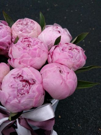 Cloud of peony Season от 9 шт.