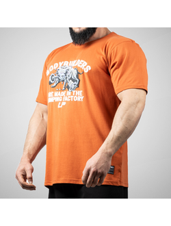 Футболка 2313-869 Legal Power Factory single jersey оранжевый