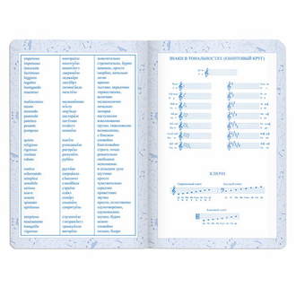 Дневник для музыкальной школы 48 л., обложка кожзам (лайт), термотиснение, BRAUBERG, фиолетовый, 105495