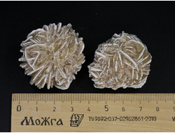 Гипс Роза пустыни в ассортименте (33-37 мм, вес: 27-36 г) №23683