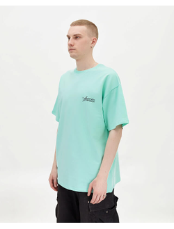 Футболка Anteater Phat Tee 499 Ментоловая