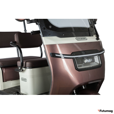 Электротрицикл Rutrike Gelbert Sarin 48V/60V 1000Вт коричнево-белый
