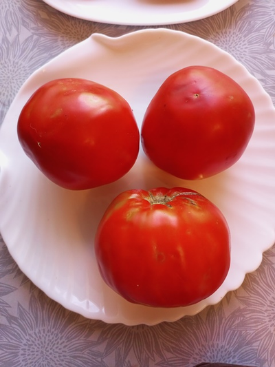 Томат Божий дар