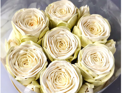 Композиция из зефира "Белые розы"