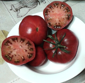 Семена томата Акми