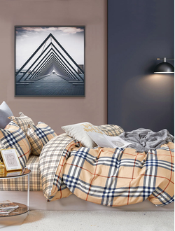 Постельное белье TANGO Twill сатин двуспальное 180x210x1 220x245x1 70x70x2 TPIG2-1957-70