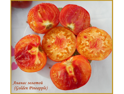 Томат Золотой ананас (Golden Pineapple)