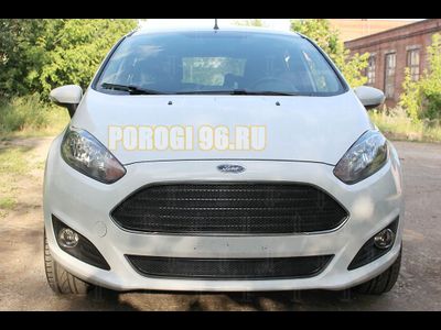 Защита радиатора Ford Fiesta MK6 (рестайлинг) 2015- black верх PREMIUM