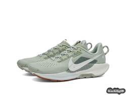 Nike ReactX Pegasus Trail 5 Jade Horizon