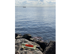 Масло НОТА: ЖЕНСКИЕ ОБЪЯТИЯ, 11 мл