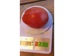 Томат Минусинские стаканы красные