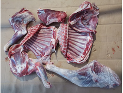 Мясо козы фермерское с доставкой на дом | ферма СытникЪ