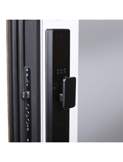 Стальная дверь   Plata с зеркалом (биометрический замок Smart lock Y23)