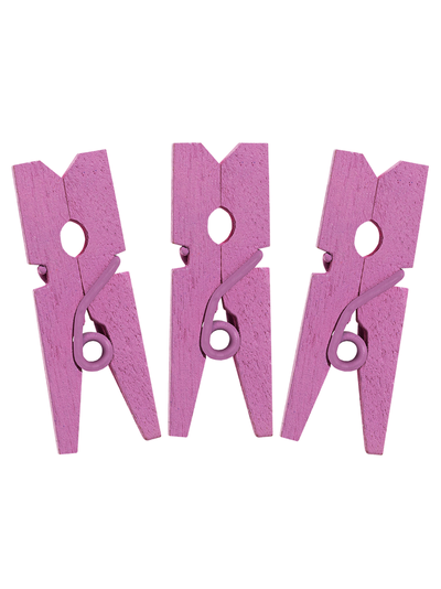 Прищепки для Саше LB (10 шт)