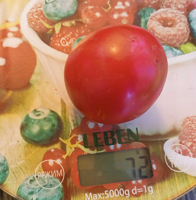 Томат Женечка