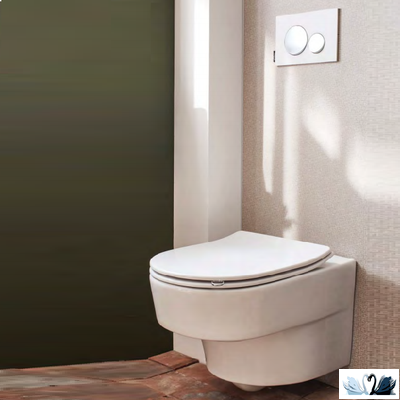 Унитаз Jacob Delafon Odeon Rive Gauche EDR102-00, подвесной, белый