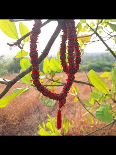 Четки Premium quality из натуральной крупной Рудракши 54 бусины красные