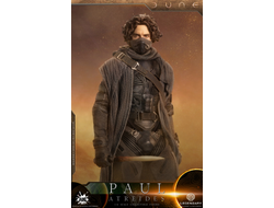 Пол Атрейдес (Тимоти Шаламе, "Дюна") - Коллекционная ФИГУРКА 1/6 scale Dune Paul Atreides (DL003) - AUG TOYS