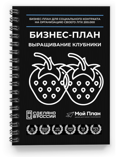 Выращивание клубники