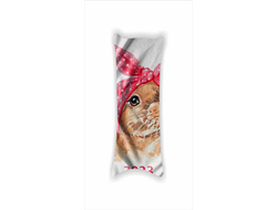 Дакимакура год Кролика №7