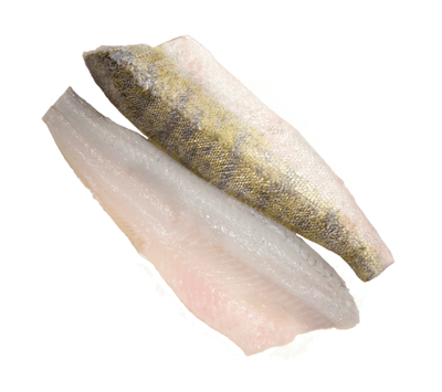 СУДАК ФИЛЕ на коже с/м, индивид. заморозка.