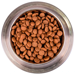 Monge Dog Monoprotein All Breeds Beef and Rice (Монж) корм для собак всех пород, говядина с рисом 12 кг
