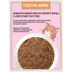 Zilli (Зилли) Влажный корм (консервы) для взрослых кошек с индейкой 100 г