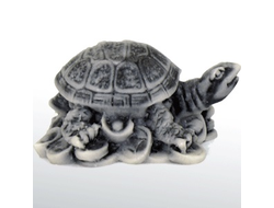 Черепаха на монетах 3. ОПТ