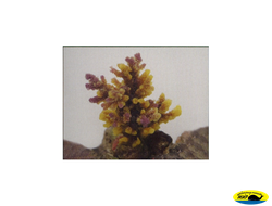 SH9032PUY Коралл пластиковый желто-коричневый 8*7*10см