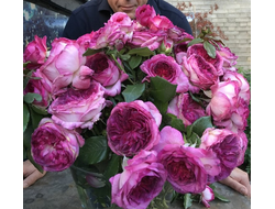 Thierry Marx (Тьерри Маркса) фл