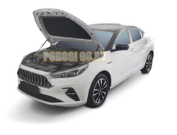 Амортизаторы капота АвтоУпор (2 шт.) для Jac J7 (2021-)
