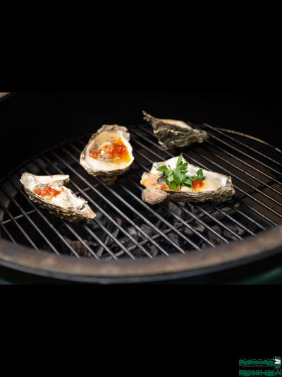 Гриль керамический BIG GREEN Egg XL