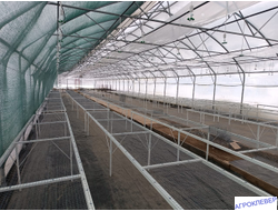 Система тумана низкого давления (480м2) 9,6 х 50м расход 5,2м3/ч (без ёмкости)