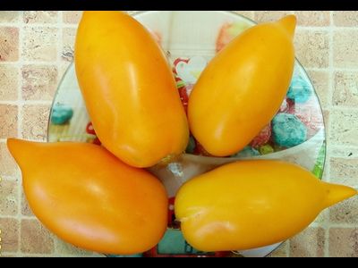 Томат Оранжевая прогулка (Orange walk)