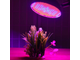 Светодиодная лампа для роста растений E27-GL-300Z оптом