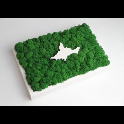 ЖИВАЯ ЭКО-КАРТИНА 1032